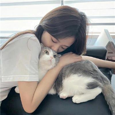 谎言的摇篮